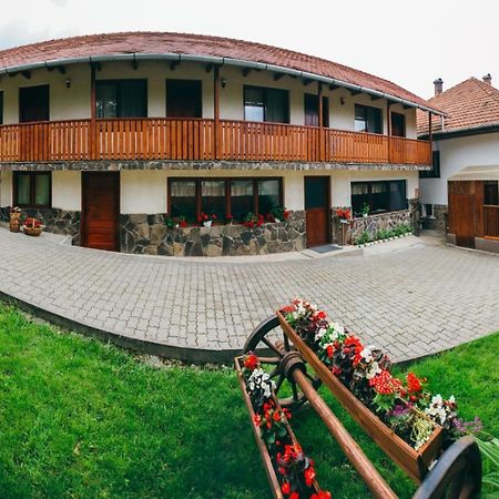 Gyongyvirag Panzio Hotel Lupeni  Екстериор снимка